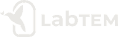LabTEM